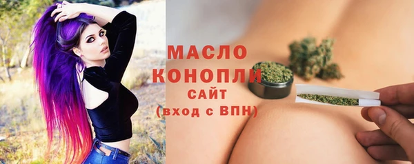 гидра Медвежьегорск