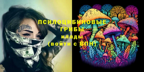 прущий лед Мегион