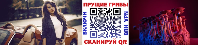 нарко площадка какой сайт  как найти наркотики  Кола  Галлюциногенные грибы Psilocybine cubensis 
